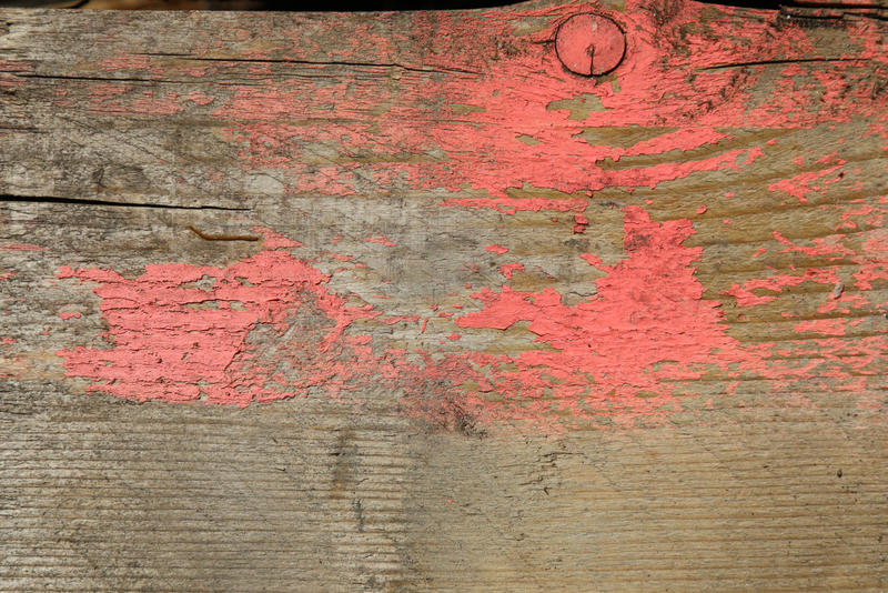 Texture 77