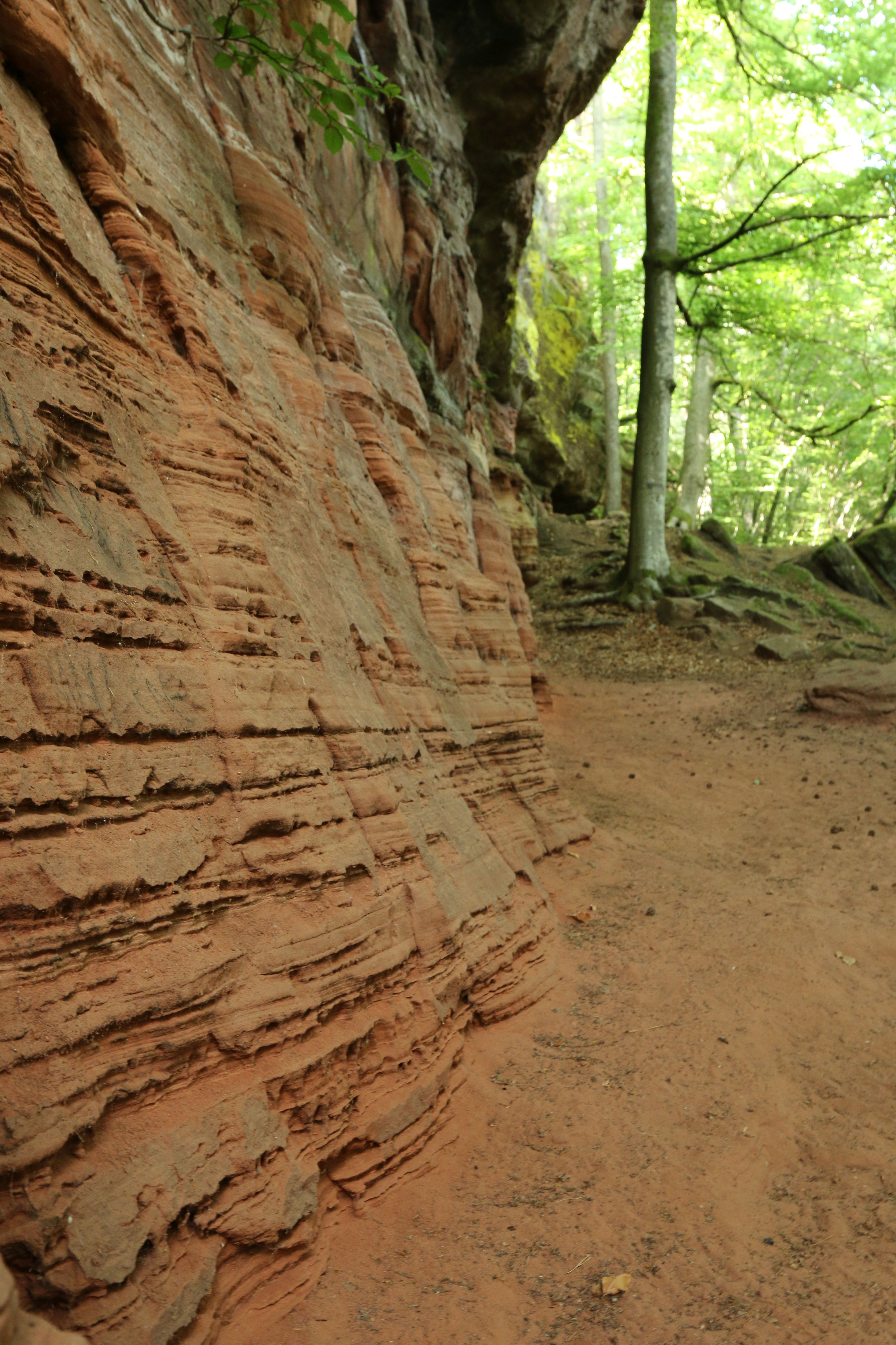 Altschlossfelsen Stock 10