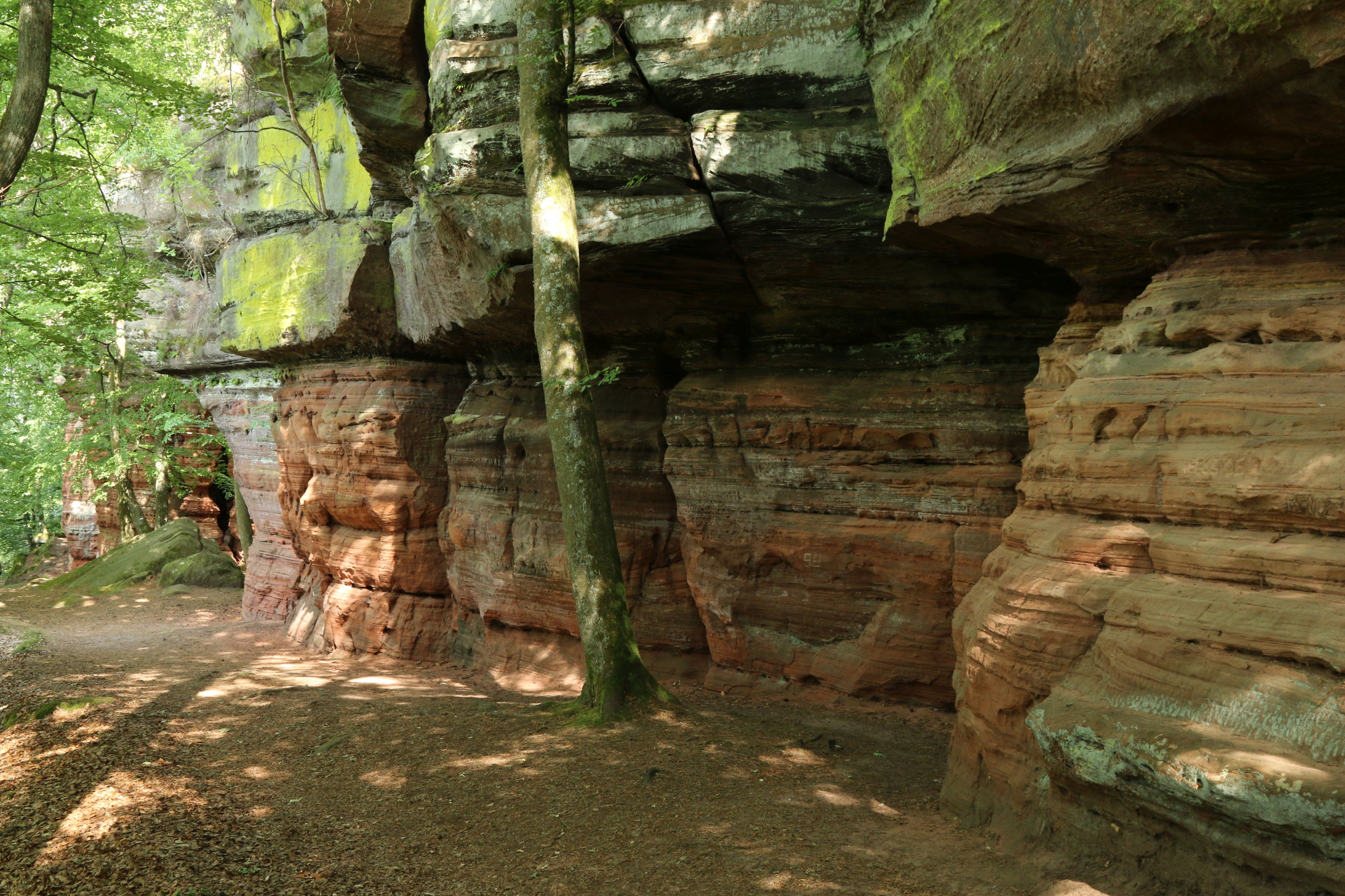 Altschlossfelsen Stock 06