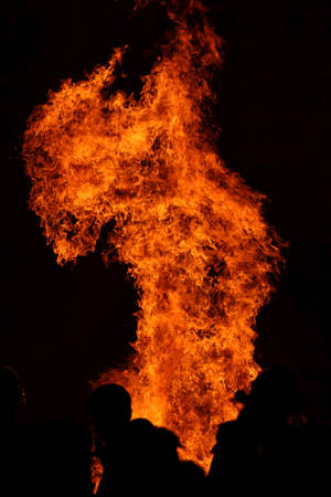 Fire Creature Stock by Malleni-Stock