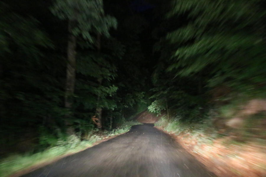 Dark forest road Stock 12 by Malleni-Stock