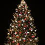 Christmas tree Stock 03