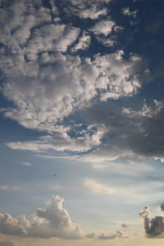 Sky Stock 092
