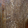 Texture 227