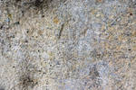 Texture 246 by Malleni-Stock