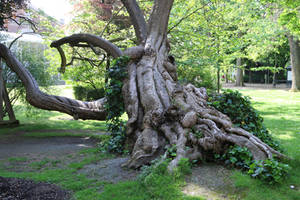 Jardin du Luxembourg Stock 11