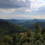 Palatinate Forest Stock 24