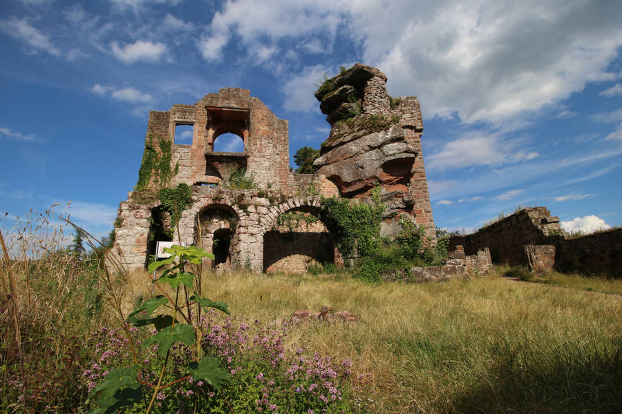 Neuscharfeneck Ruins Stock 32 by Malleni-Stock