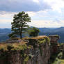 Neuscharfeneck Ruins Stock 34