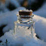 Snow bottle Stock 06