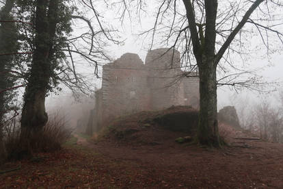 Neuscharfeneck Ruins Stock 40