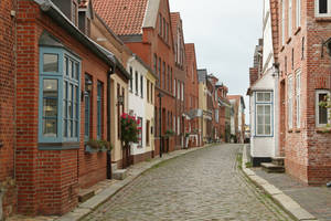 Northern Germany Stock 048