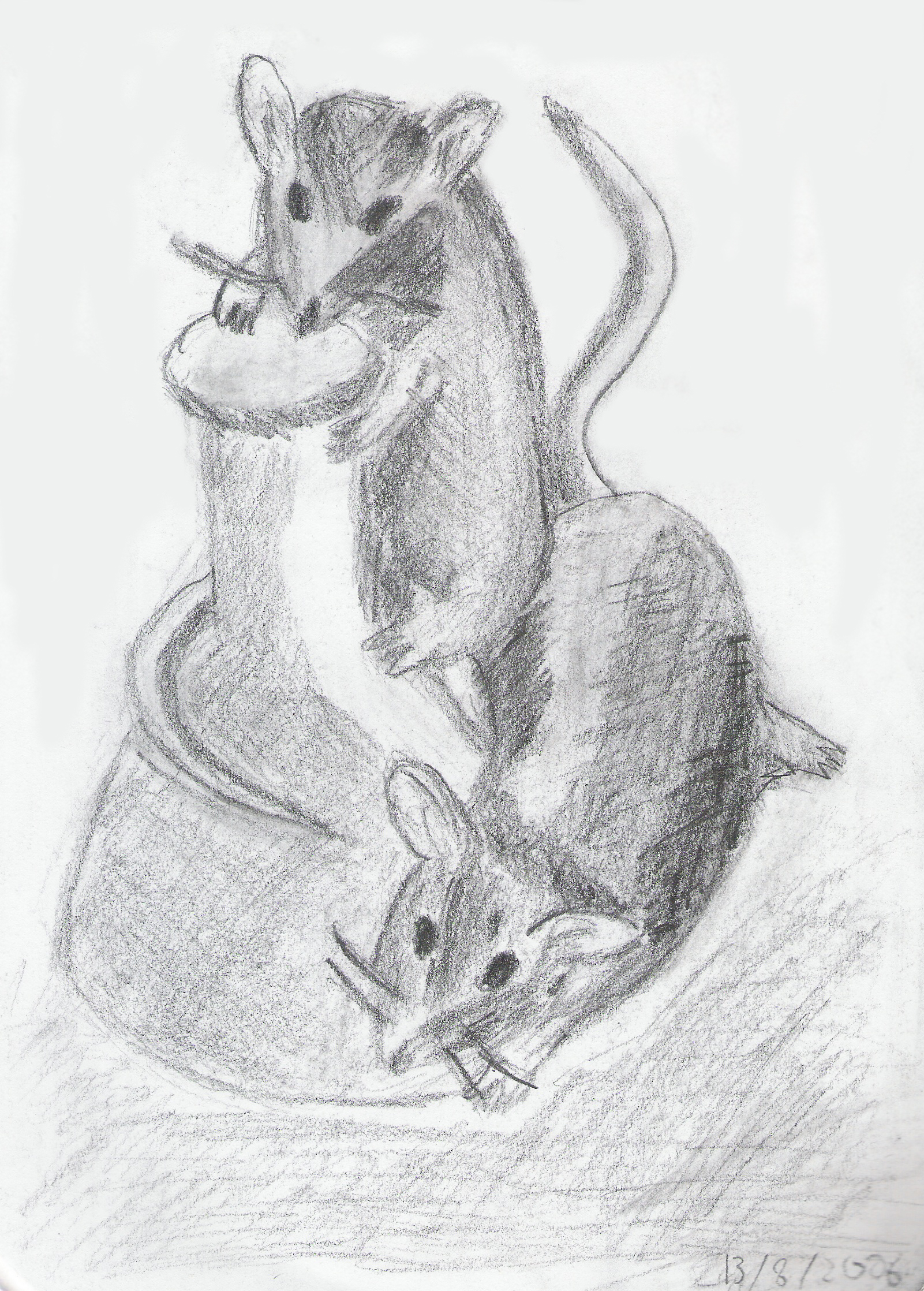 Lab mice