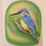 Common Kingfisher drawing in pastels