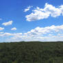 Bush and Sky Panorama