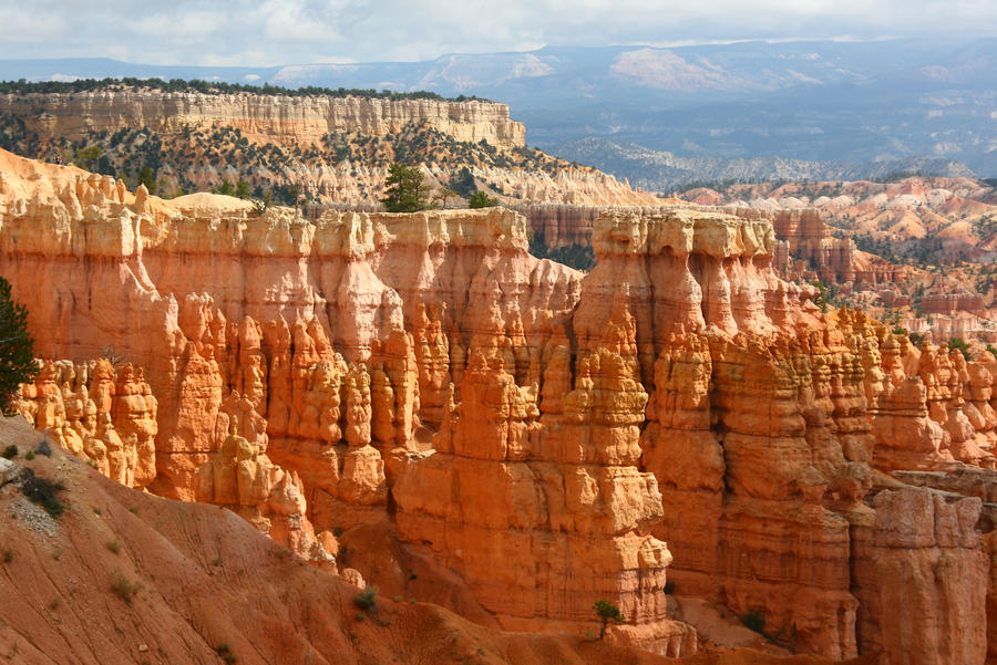 Bryce Canyon Detail