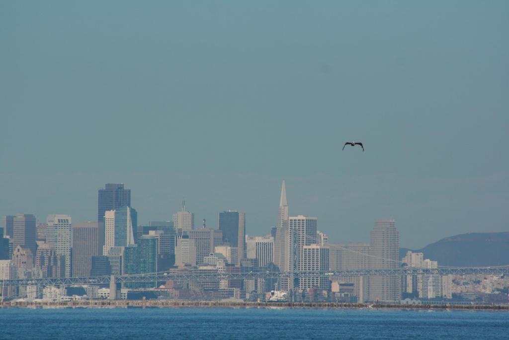 San Francisco as seen from Alameda