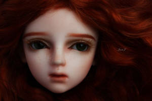 Face up ( Little Monica Irin )