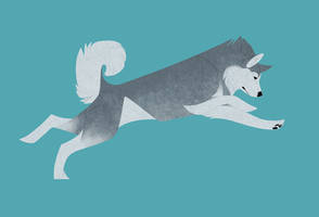 Geometric dogs - Alaskan Malamute