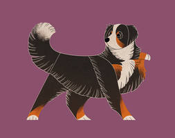 Geometric dogs - Bernese Mountain