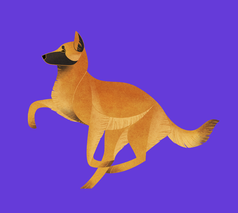 Geometric dogs - Belgian Shepherd (Malinois)