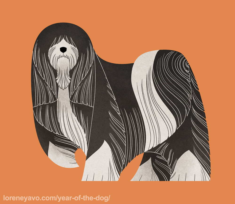 Year of the Dog - Tibetan Terrier by Kelgrid on DeviantArt Year of the Dog - Tibetan Terrier by Kelgrid on DeviantArt