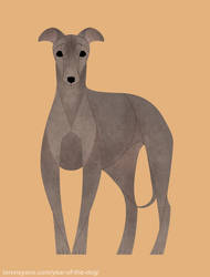 Year of the Dog - Italian Greyhound