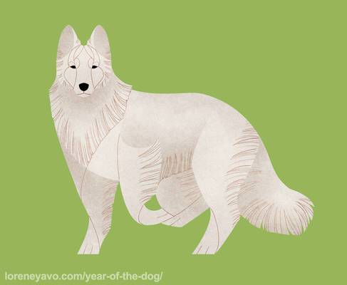 Year of the Dog - Berger Blanc Suisse