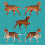 Year of the Dog - German Pointers