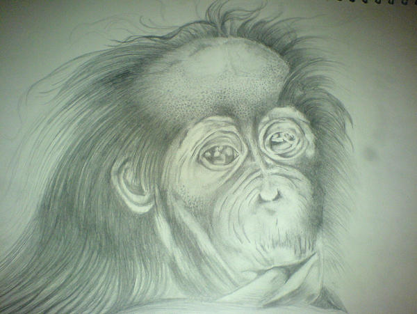 Deviantart 2007 Monkey monkey by mvq11 on DeviantArt