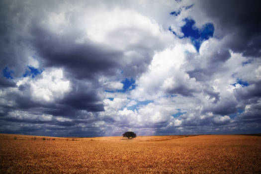 alentejo