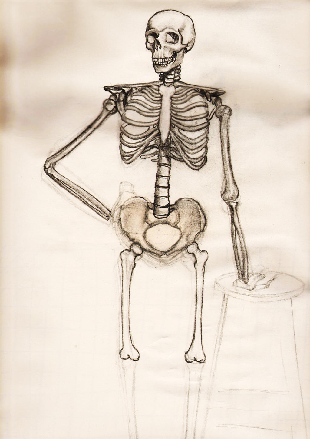 skeleton, full by famili-monstro on DeviantArt
