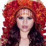 selena gomez png