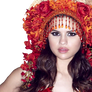 selena gomez png