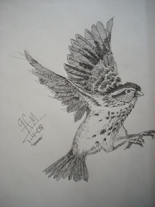 Sparrow