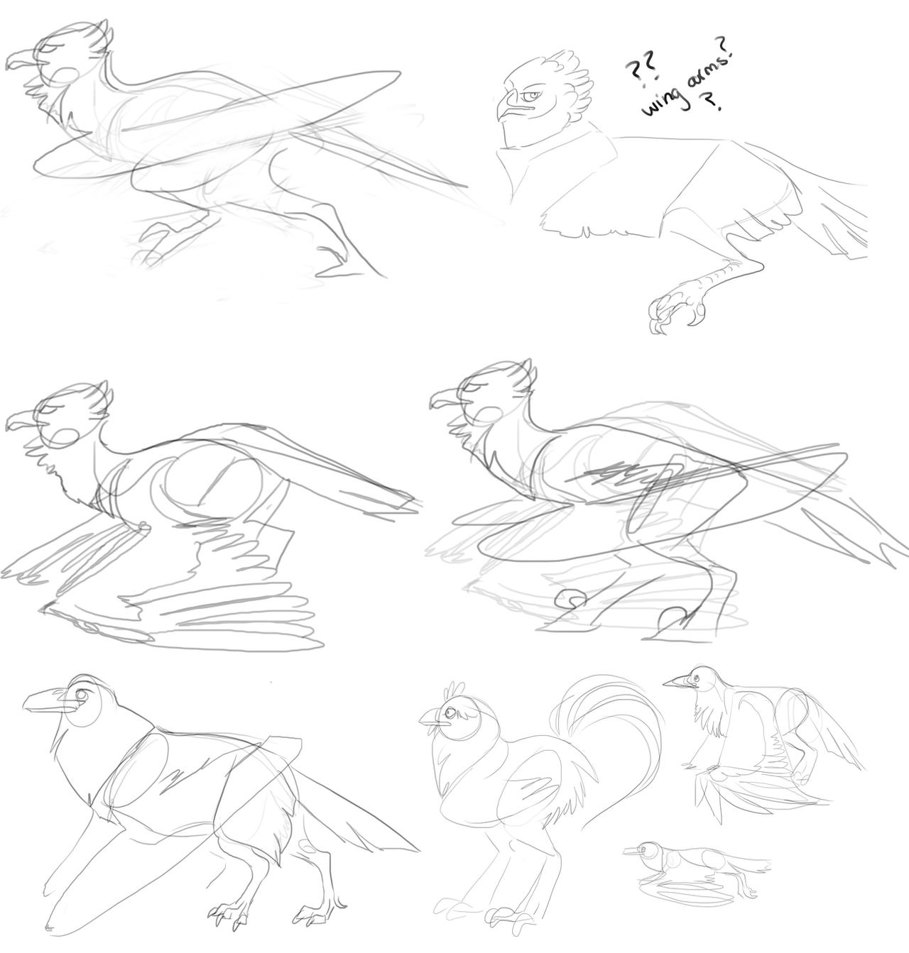 Pouncing Raptor Outline Bird raptor musings by Chickenbusiness on DeviantArt