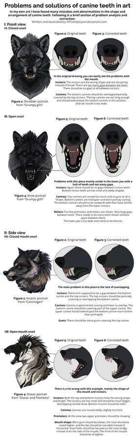 Fixing canine teeth and common anatomy errors