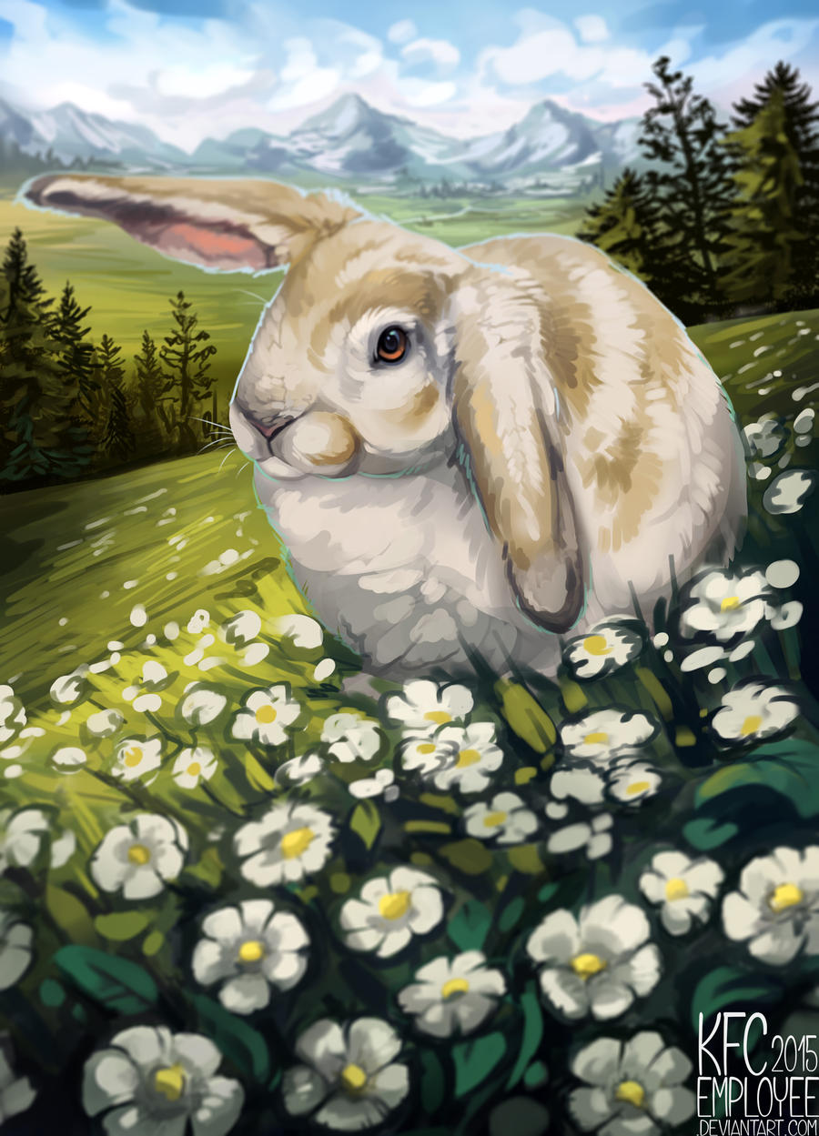 Big floppy rabbit by Chickenbusiness on DeviantArt