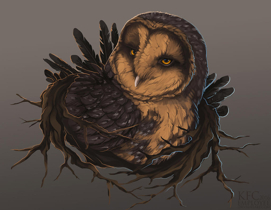 Wise old owl lady