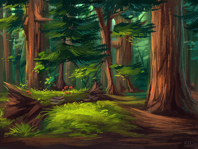 Northern call: Redwoods