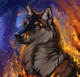 Fire starter (Home fanart)