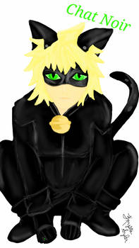 Chat Noir (Miraculous Ladybug)