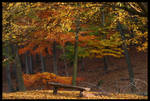 Autumn 05 - Two by marble911