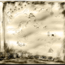 Pirate Map Matey