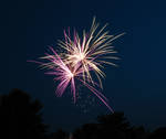Firework Image 0538 by WDWParksGal