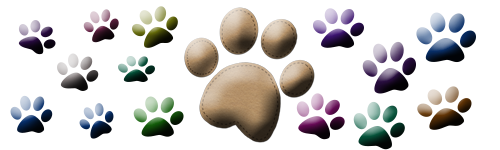 Pet Paws Divider ~ Free to Use