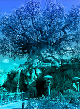 AK WDW Tree of Life Photo With Gradient Overlay