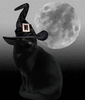 Black Kitty Witch Drawtober Day 21 FTU