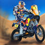 Cyril Despres champion Dakar 2007