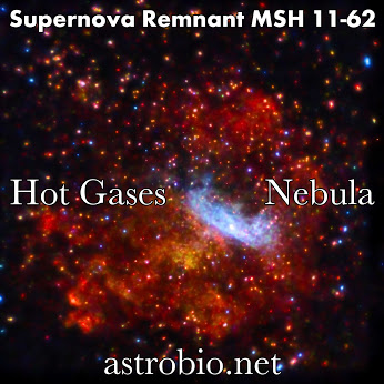 MSH 11-62 Supernova Remnant